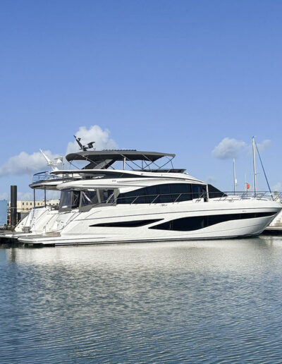 extended bimini cover